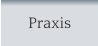 Praxis